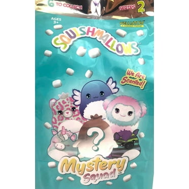 squishmallow mystery blind bag
