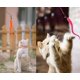 thumbnail image 5 of Juguete de plumas para gatos, caña de pescar retráctil interactiva, juguete para gatos con 1 varita mágica + 5 gusanos de repuesto para gatos y gatitos, 5 of 5