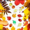 thumbnail image 4 of Naler Fall Vase Filler Bin Filler, Mini Acrylic Fall Table Scatter Fall Leaves Pine Cones Pumpkins for Crafts Vase Fillers Autumn Fall Thanksgiving Home Table Decorations Set, Counters for Kids,2.05", 4 of 6