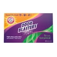 thumbnail image 1 of Toallitas para secadora Arm & Hammer Odor Blasters, aroma fresco, 80 piezas, 1 of 6