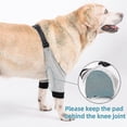 thumbnail image 5 of Protector de codo para perro, funda ajustable para pata delantera, protección para recuperación de lesiones por cirugía de mascotas, 1 par, 5 of 5