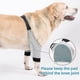 thumbnail image 5 of ZHAOCHENG Protector de codo para perro, funda ajustable para pata delantera, protección para recuperación de lesiones por cirugía de mascotas, 1 par, 5 of 5