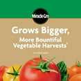 thumbnail image 6 of Miracle-Gro Water Soluble Tomato Plant Food, 1.5 lbs., 6 of 12