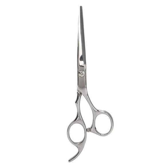 Professional Stainless Steel Hairdressing Scissors, Salon Household Hair Trimming Cutting Scissors (#1)