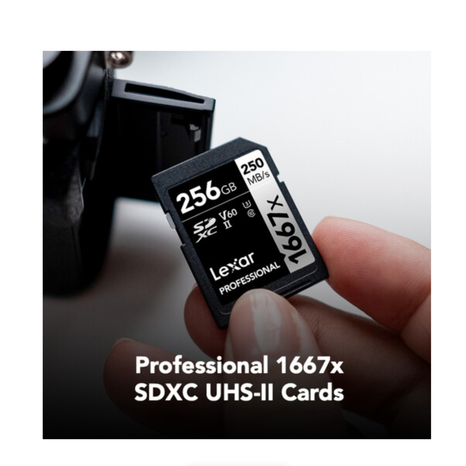 Lexar Professional 1667x UHS-II SDXC Memory Card - 256GB (2-Pack)