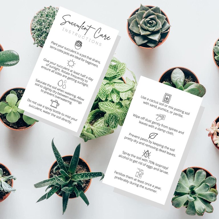 printed-2-x3-5-succulent-care-instruction-cards-business-card-size-white-and-black-design-walmart-com for Free Printable Plant Care Cards Printed 2