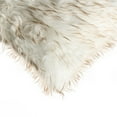 thumbnail image 3 of BELTON FAUX FUR PILLOW 12"X20" 2-PACK, 3 of 4