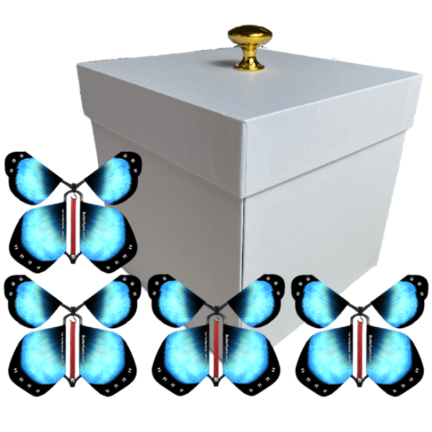 White Exploding Butterfly Box With Gender Reveal Flying Butterflies