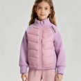 thumbnail image 2 of Teylalorva Girls Outerwear Jackets Color Block Stand Collar Zip Up Lightweight Down Jacket Short Casual Coat（4-15） Pink Size 12, 2 of 2