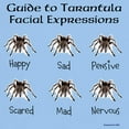 thumbnail image 3 of CafePress - Guide To Tarantula Facial Expressons T Shirt - Light T-Shirt - CP, 3 of 4