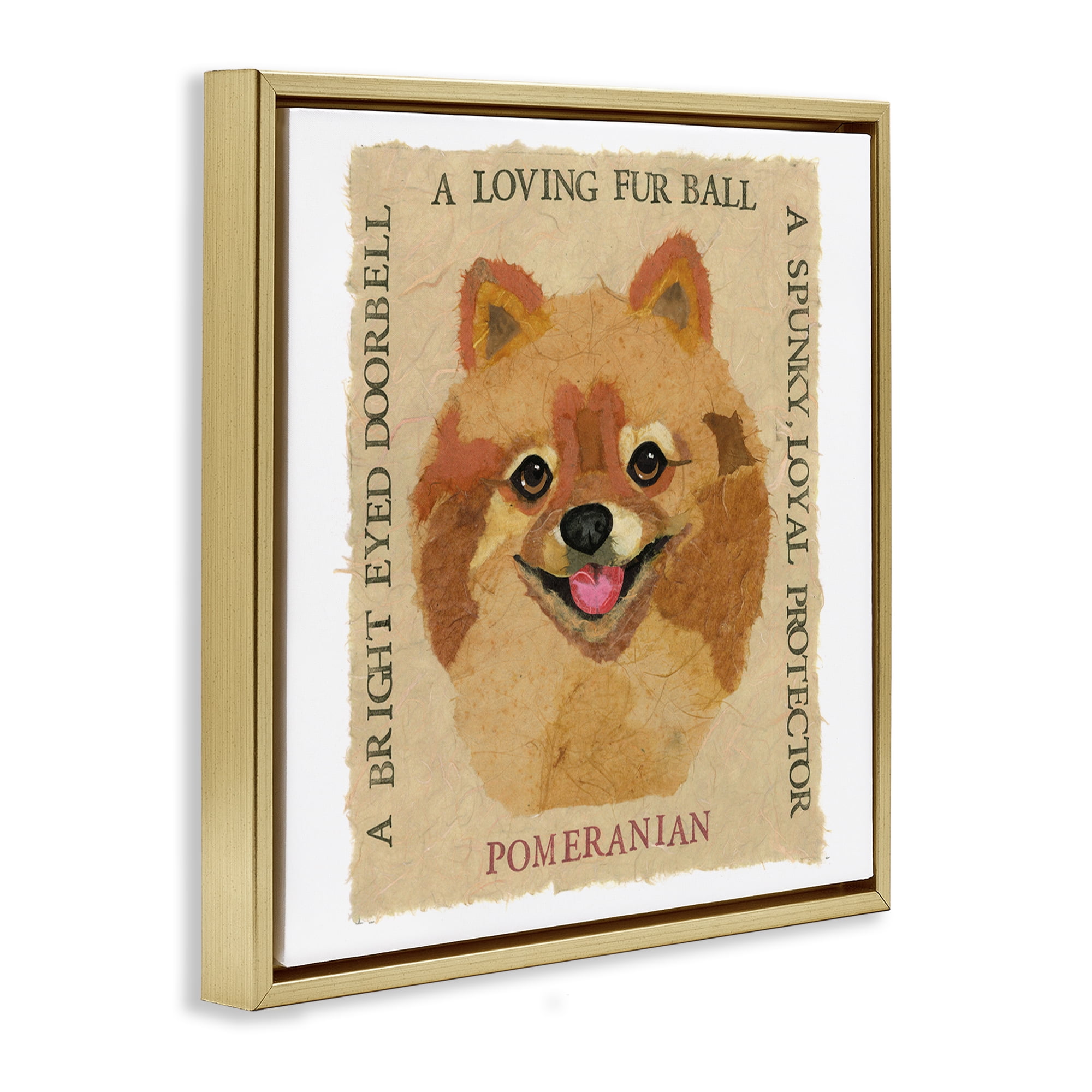 Stupell Industries Fun Pomeranian Pet Phrases Animals Painting Gold Floater Framed Canvas Art Print Wall Art, 18 x 18