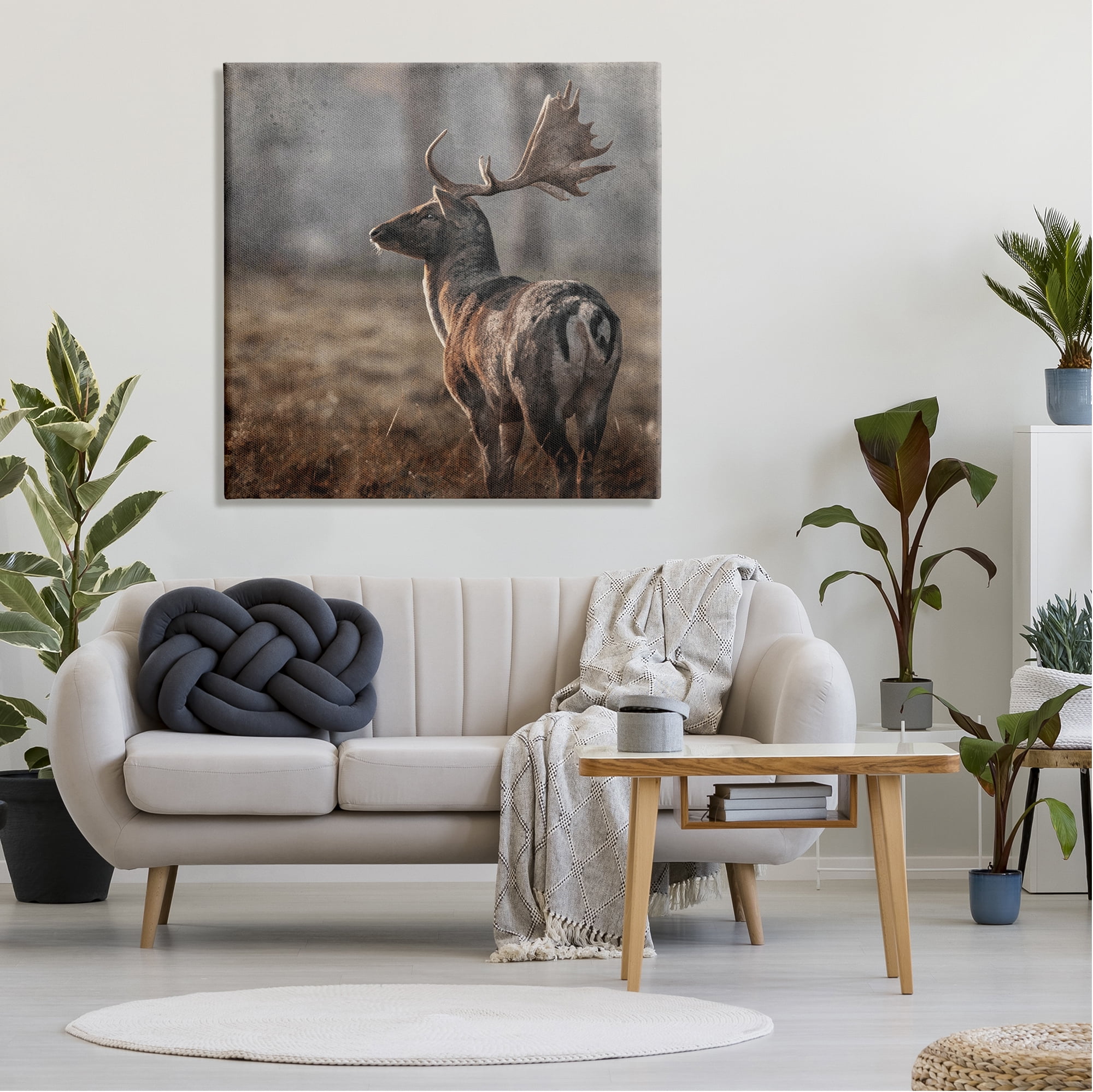 Stupell Industries Moose in Woodland Scene Animals & Insects Photography Gallery Wrapped Canvas Print Wall Art, 36 x 36