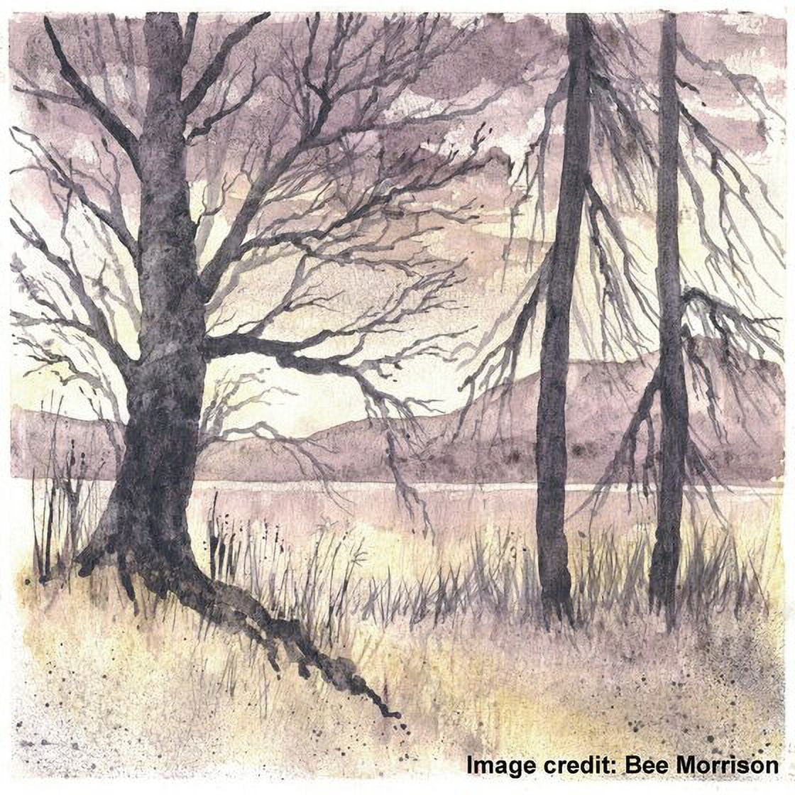 Derwent Graphitint Paint 12 Pan Palette