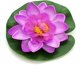 thumbnail image 3 of Paquete de 7 flores de loto de espuma flotante artificiales, plantas de estanque de lirio de agua, decoración de jardín para el hogar, 4 "de diámetro, 3 of 5