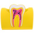 thumbnail image 1 of Tarjetero multifunción para tarjetas de visita, práctico soporte para tarjetas, caja de goma para tarjetas de clínica dental, 1 of 8