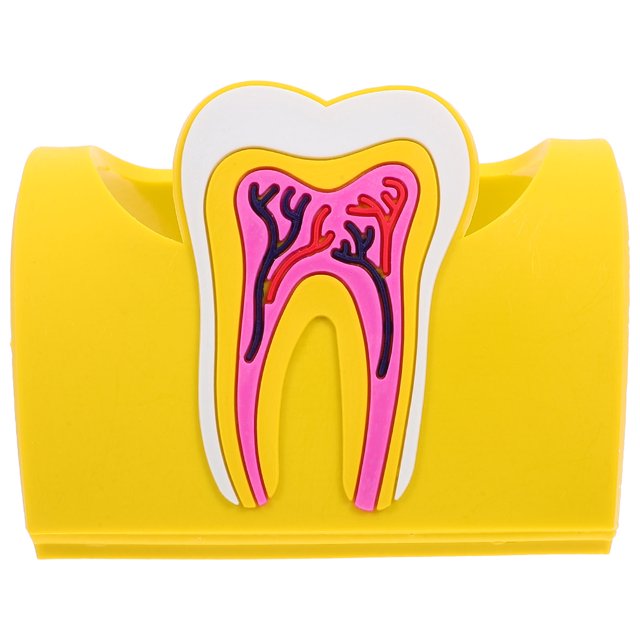 Tarjetero multifunción para tarjetas de visita, práctico soporte para tarjetas, caja de goma para tarjetas de clínica dental