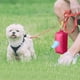 thumbnail image 2 of Dispensador Portátil De Bolsas Para Recoger Los Excrementos De Perro Con Bolsas Para Facilitar La Limpieza, 2 of 3