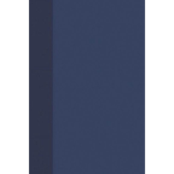 Liberty in America, 1600 to the Present Liberty and Equality 1920-1994, Book 04, (Paperback)