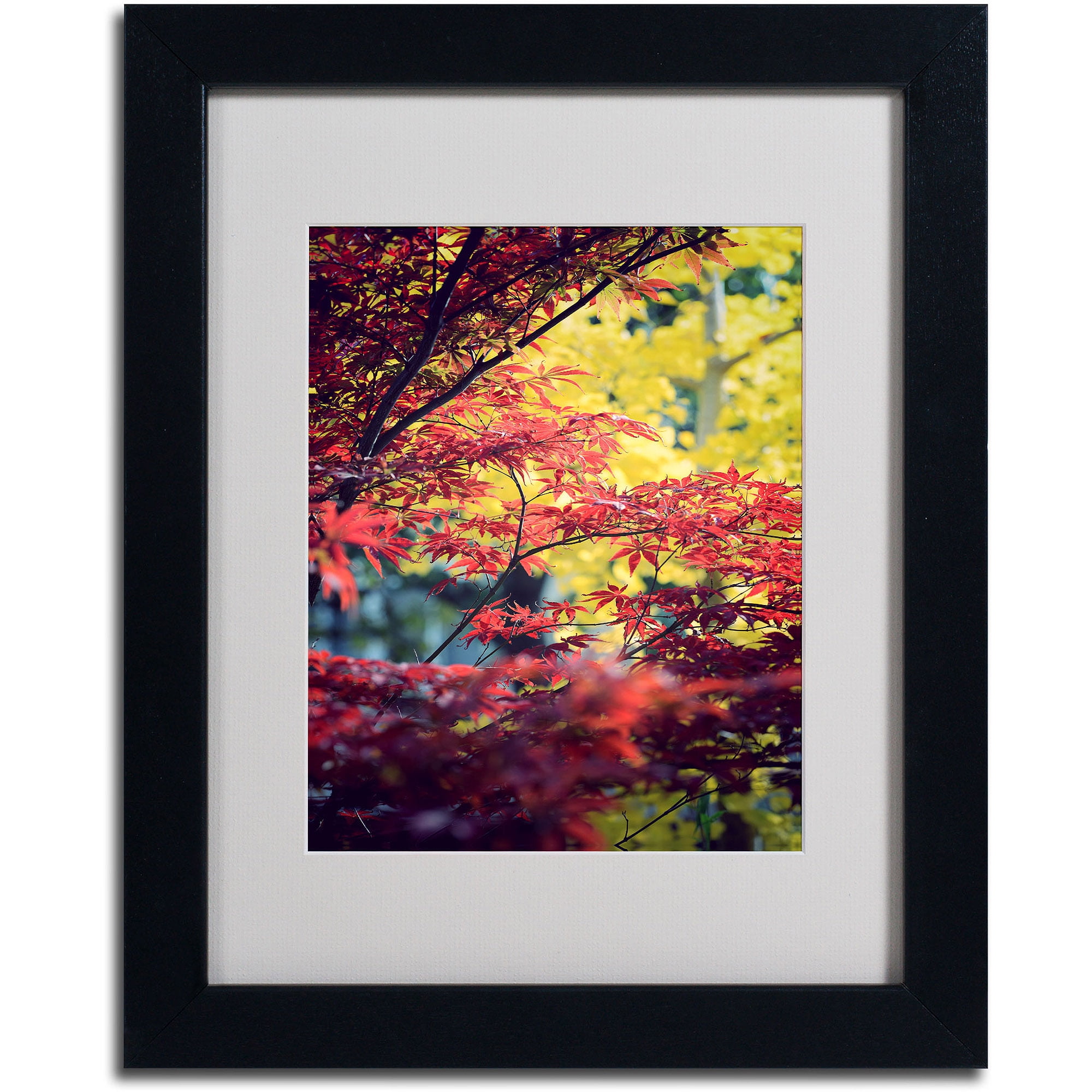 Trademark Fine Art "Red vs Yellow" Canvas Art by Philippe Sainte-Laudy, Black Frame