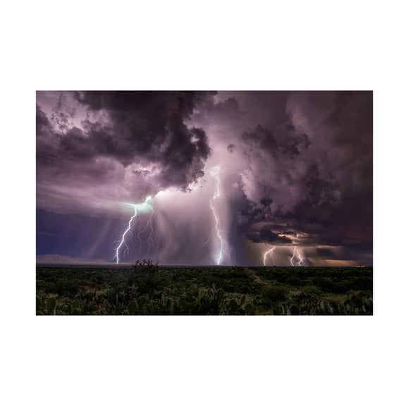 Danilo Cesar Faria 'Collision Course' Canvas Art