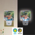 thumbnail image 2 of Yayeee LED Plug in Night Light for The Home with Auto Dusk to Dawn Light Sensors, 2 Pack, Art Goldfish Bowl, 2 of 6