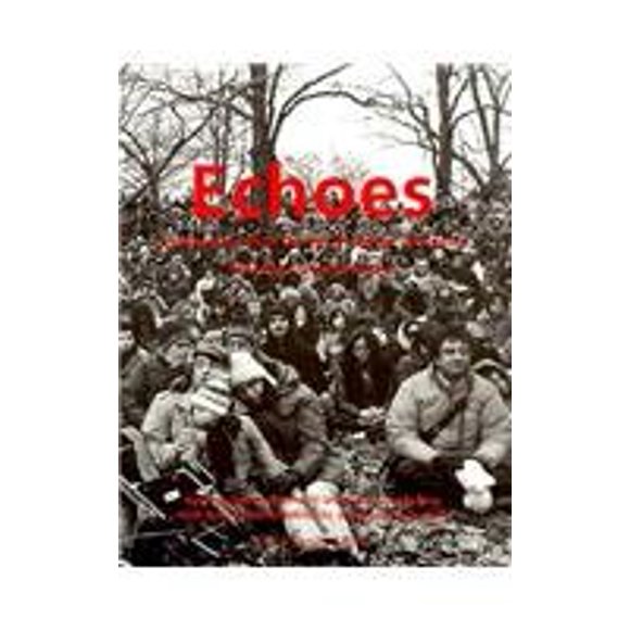 Echoes : Contemporary Art at the Age of Endless Conclusions 9781885254368 Used / Pre-owned