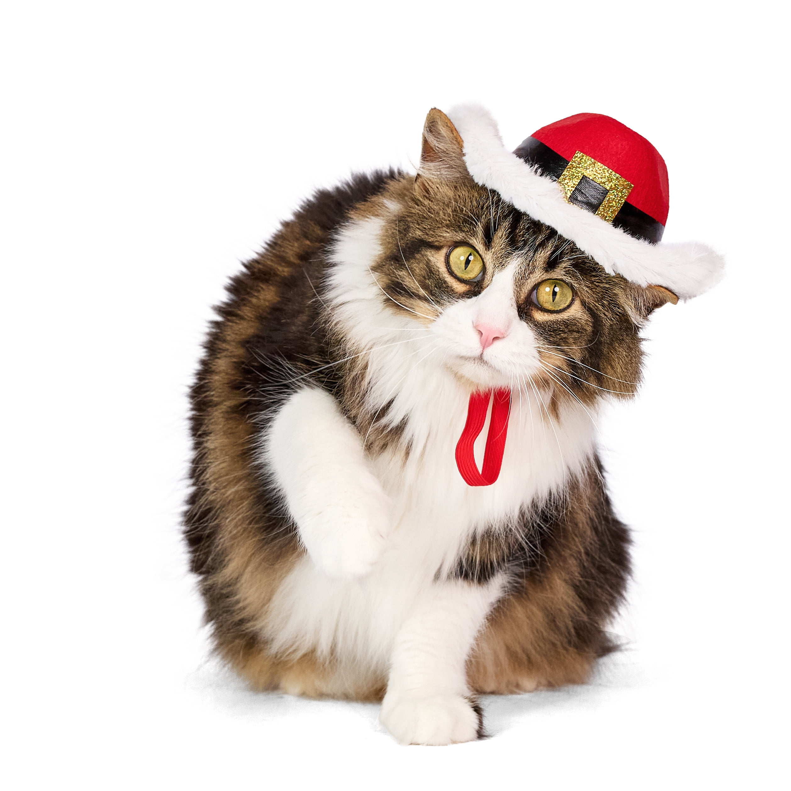 Vibrant Life Holiday Pet Santa Cowboy Hat for Cats & Dogs, Red, Extra Small/Small
