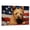 Australian Terrier, variant on Siberian Husky Dog Canvas with American Flag Canvas Wall Art Dog Canvas Pictures for Wall Decor Red White Blue Flag of USA Patriotic Painting Print for Living Room Bedroom Office Ready to Hang