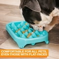thumbnail image 6 of Neater Pet Brands Neater Slow Feeder to Improve Digestion, Stop Obesity, and Slow Down Eating, 2.5 Cups, Aquamarine, 6 of 12