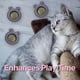 thumbnail image 5 of Bola de hierba gatera orgánica para gatos, juguete interactivo para gatos, 3 uds., 5 of 5