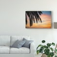 thumbnail image 3 of Trademark Fine Art 'Sunset Palm I' Canvas Art by Laura Marshall, 3 of 4
