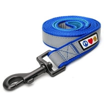 Pawtitas 6 FT Reflective Dog Leash Padded Handle - Blue Leash for Small Dogs and Puppies.