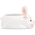 thumbnail image 1 of Lishi Mini Rabbit Desk Ceramic Planter with Saucer - Minimalist Office Window Décor, 1 of 5