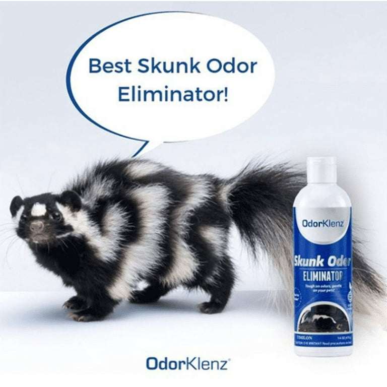 Treatment for cheap skunk spray