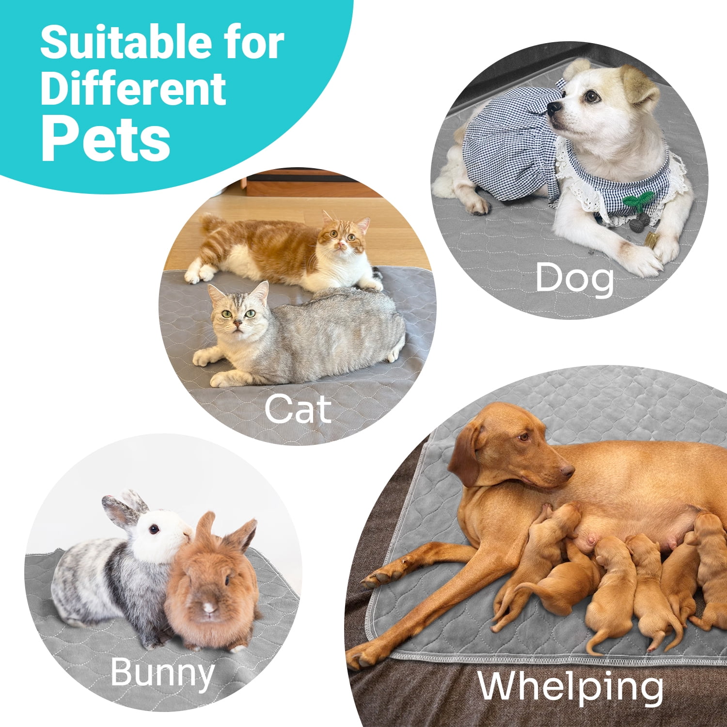 Conkote Reusable Pee Pads for Dogs Extra Large 48" x 60", Heavy Absorbency Washable Pee Pads, Waterproof & leak-proof Dog Training Pads Non-Slip for Pet Housebreaking, Whelping, Potty, Crate