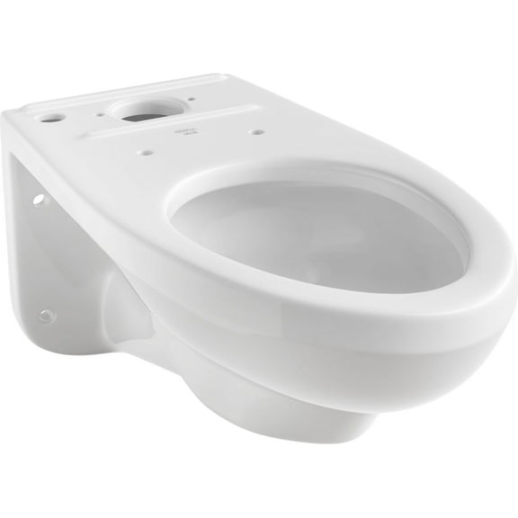Proflo Pf1705he Wall Mounted Elongated Toilet Bowl Only - White