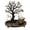 Halloween Tabletop Decor O, variant on Coastal Coral Desktop Display Tree Stand Decoration, Trinket Holder Organizer Tray, Nautical Tabletop Small Item Storage Rack, Beach‑style Ornament for Vanity, Dresser and Indoor Home Tabletop Decor