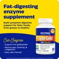 thumbnail image 2 of Enzymedica Lypo Gold Digestive Enzymes for Fat Digestion, Fast Relief from Gas & Bloating, 60 Capsules, 2 of 9