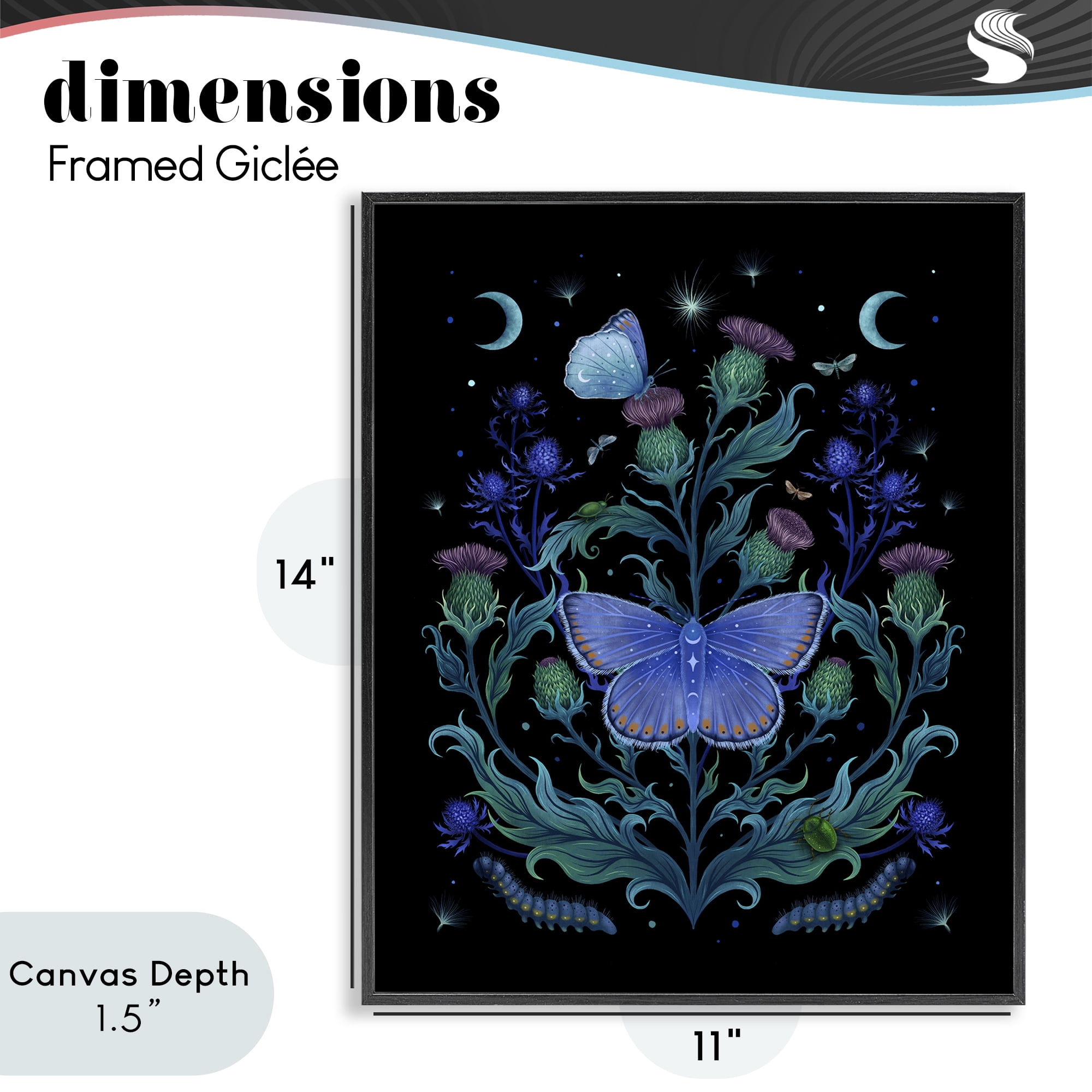 Stupell Industries Thistles & Insects at Night Black Framed Giclee Art, design by Episodic Drawings
