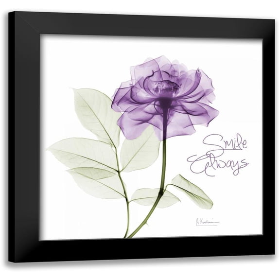 Koetsier, Albert 12x12 Black Modern Framed Museum Art Print Titled - Smile Always Purple