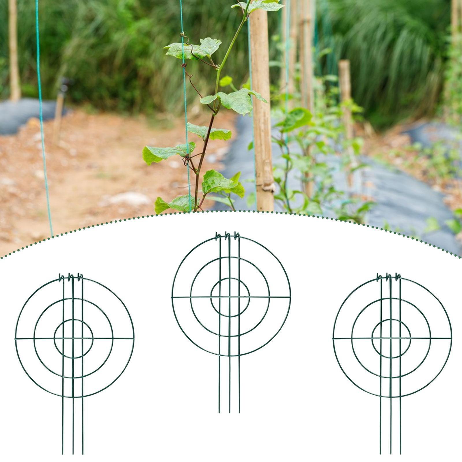 oshhni 3 Pieces Peony Support Cages Climbing Trellis for Vegetables Tomato Backyard Circle