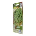 thumbnail image 1 of Semillas De Arúgula Hortaflor 0.7 Gr Verde, 1 of 3