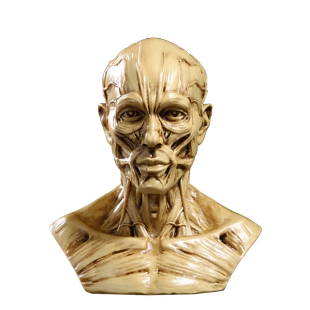 Modèle de Corps Humain Réaliste, Statue en Résine, pour Décoration de Fête Bar Maison - Jaune Antique