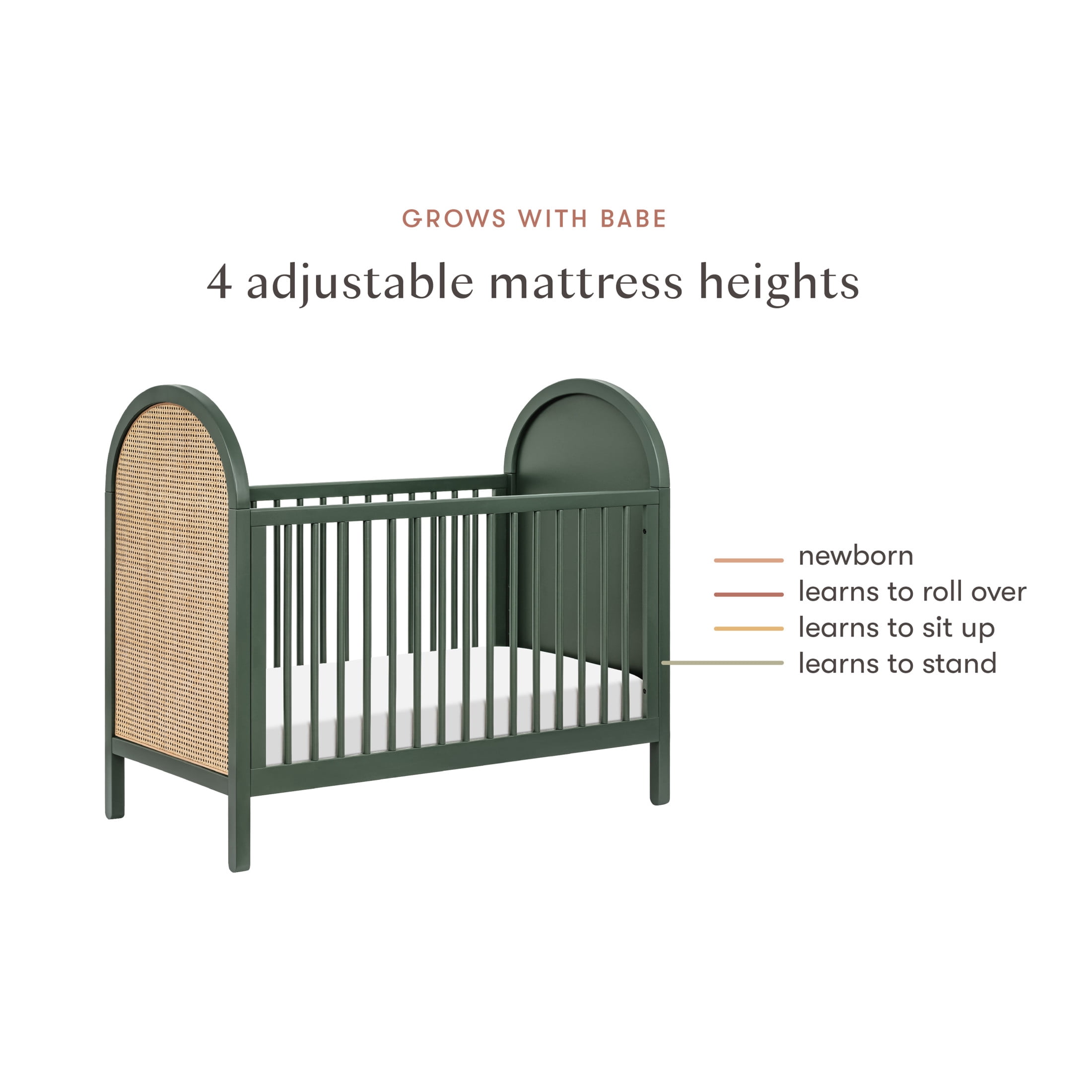 Babyletto Bondi Cane 3-in-1 Convertible Crib with Toddler Bed Conversion Kit