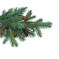 thumbnail image 3 of Jobe's Tree Fertilizer Spikes 9pk, 3 of 11