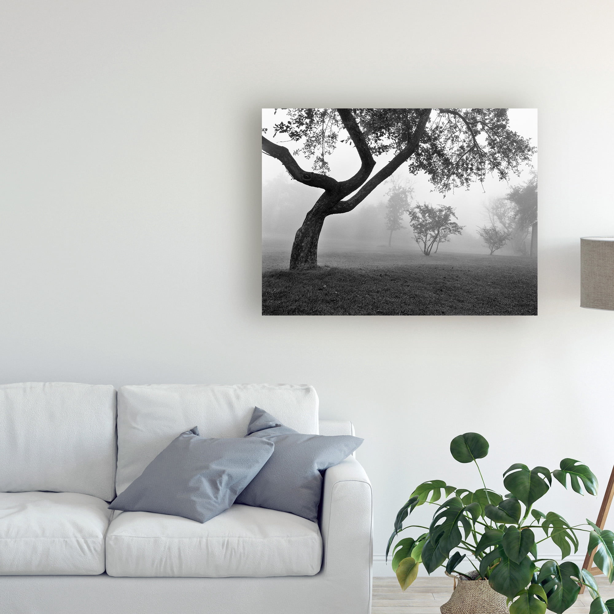 Trademark Fine Art 'Morning Mist Farmington Hills Michigan' Canvas Art by Monte Nagler