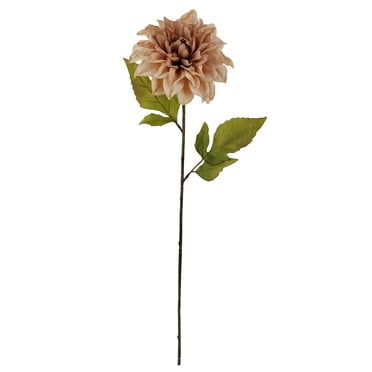 Mainstays 24.75 in Cream Artificial Dried Look Dahlia Stems, Set of 6, Indoor Use.
