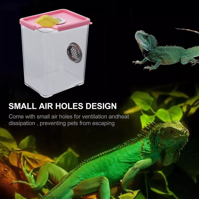 GOOHOCHY 1Ud Caja De Alimentación Para Reptiles Transparente Con Ventilación Para Mascotas Pequeñas
