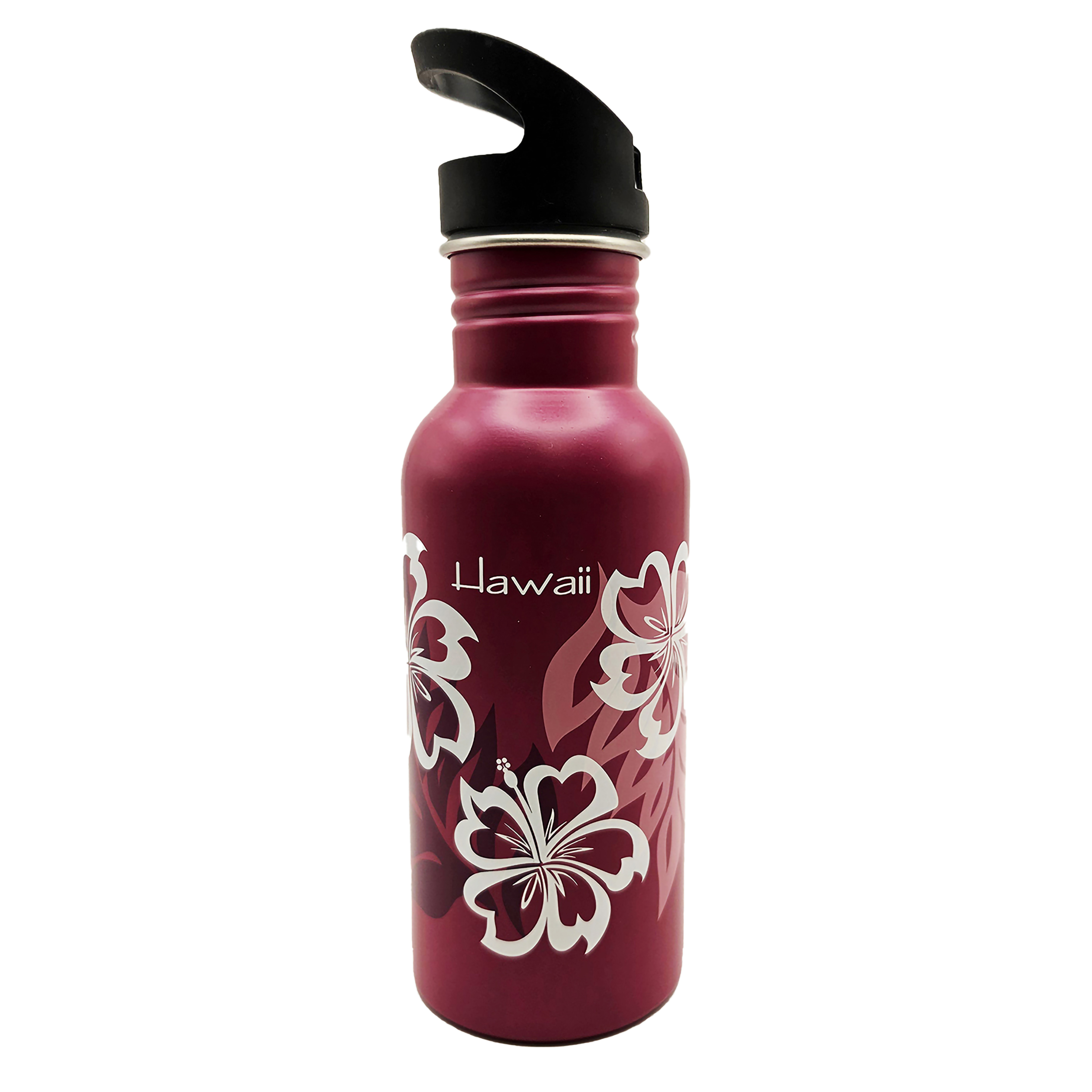 Ajw, Inc 20 oz Stainless Steel Insulated Tumbler with Lid for Travel