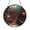 Acrylic 3.5 Inch, variant on Library Inspired Glass Style Window Panel – Decorative Accent